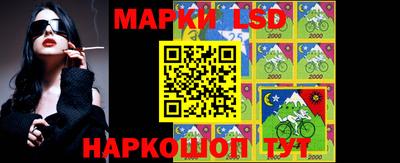 индика Вышний Волочёк