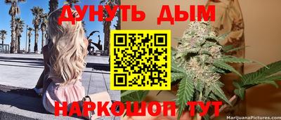 стафф Вязьма