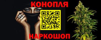 стафф Вязьма