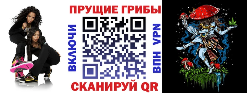 где можно купить Владикавказ Псилоцибиновые грибы GOLDEN TEACHER