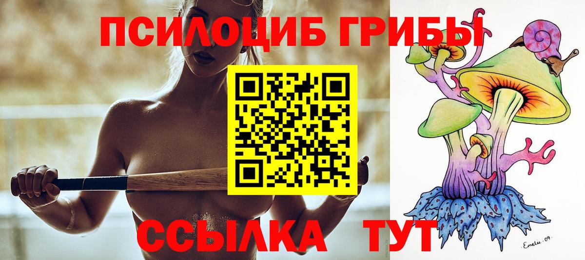 Псилоцибиновые грибы прущие грибы  Вход с VPN  Владикавказ 